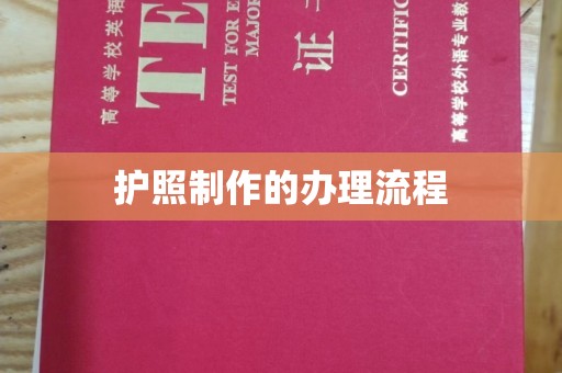 云龙护照制作的办理流程