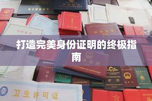 云龙打造完美身份证明的终极指南
