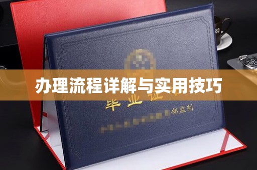 云龙办理流程详解与实用技巧