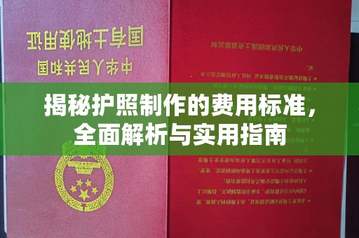 云龙揭秘护照制作的费用标准，全面解析与实用指南