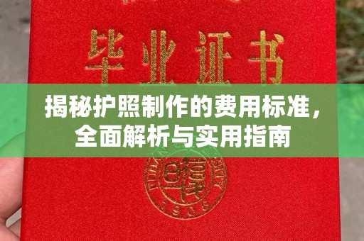 云龙揭秘护照制作的费用标准，全面解析与实用指南