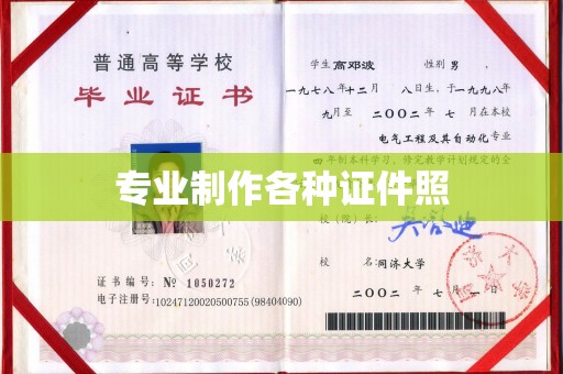 云龙专业制作各种证件照