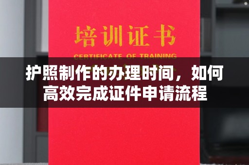 云龙护照制作的办理时间，如何高效完成证件申请流程