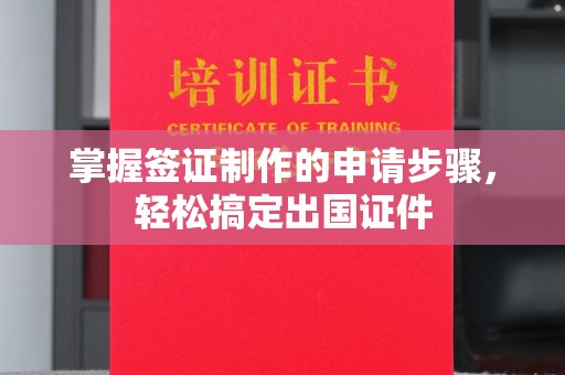 云龙掌握签证制作的申请步骤，轻松搞定出国证件