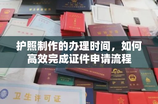 云龙护照制作的办理时间，如何高效完成证件申请流程