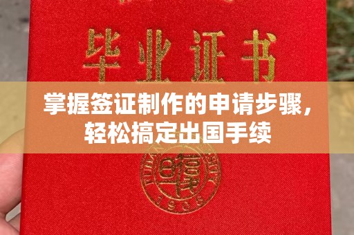 云龙掌握签证制作的申请步骤，轻松搞定出国手续