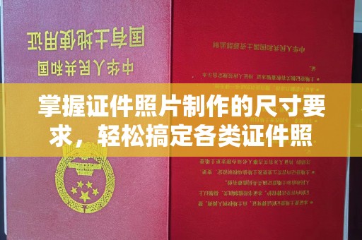 云龙掌握证件照片制作的尺寸要求，轻松搞定各类证件照