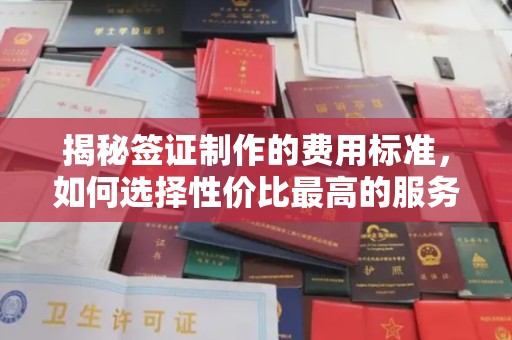 云龙揭秘签证制作的费用标准，如何选择性价比最高的服务？