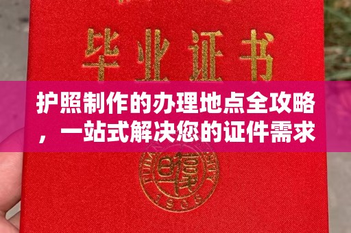 云龙护照制作的办理地点全攻略，一站式解决您的证件需求