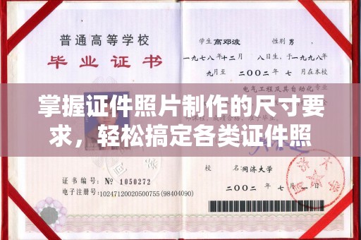 云龙掌握证件照片制作的尺寸要求，轻松搞定各类证件照