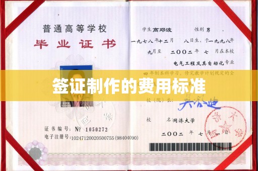云龙签证制作的费用标准