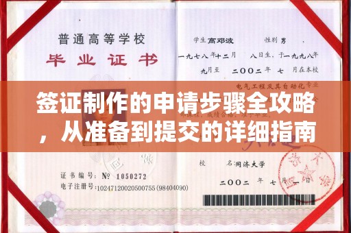 云龙签证制作的申请步骤全攻略，从准备到提交的详细指南