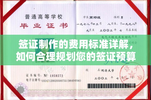 云龙签证制作的费用标准详解，如何合理规划您的签证预算