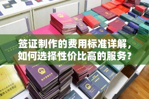 云龙签证制作的费用标准详解，如何选择性价比高的服务？