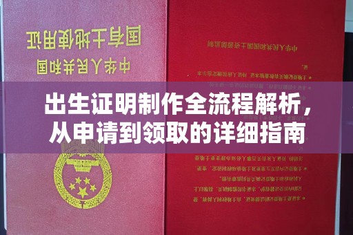 云龙出生证明制作全流程解析，从申请到领取的详细指南