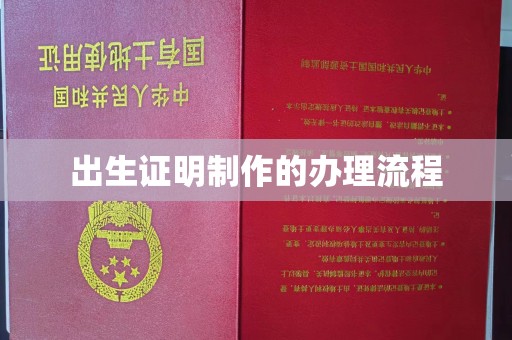 云龙出生证明制作的办理流程
