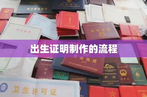 云龙出生证明制作的流程