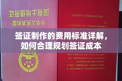 云龙签证制作的费用标准详解，如何合理规划签证成本