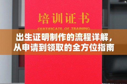 云龙出生证明制作的流程详解，从申请到领取的全方位指南