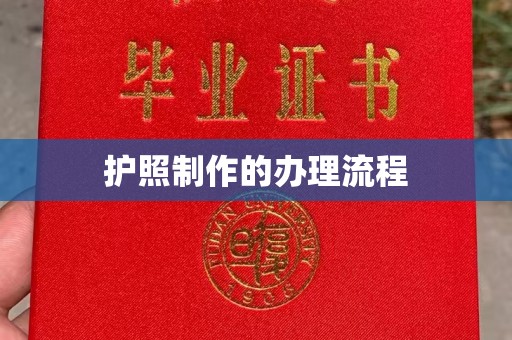 云龙护照制作的办理流程